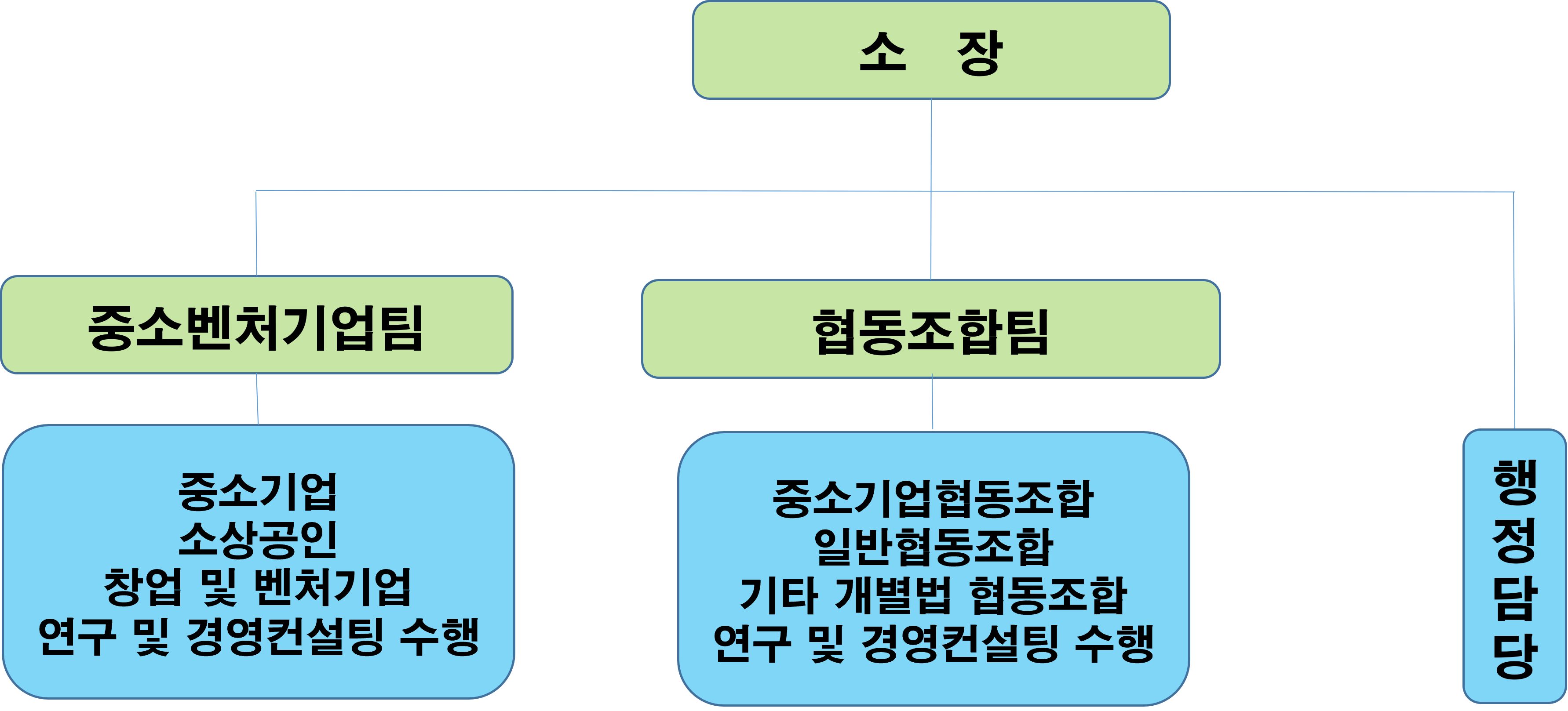 조직도